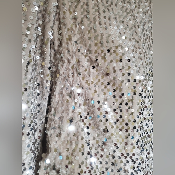 Sanctuary All nighter Silver Sequined Champagne Long Sleeve Top Size Small - Picture 7 of 7